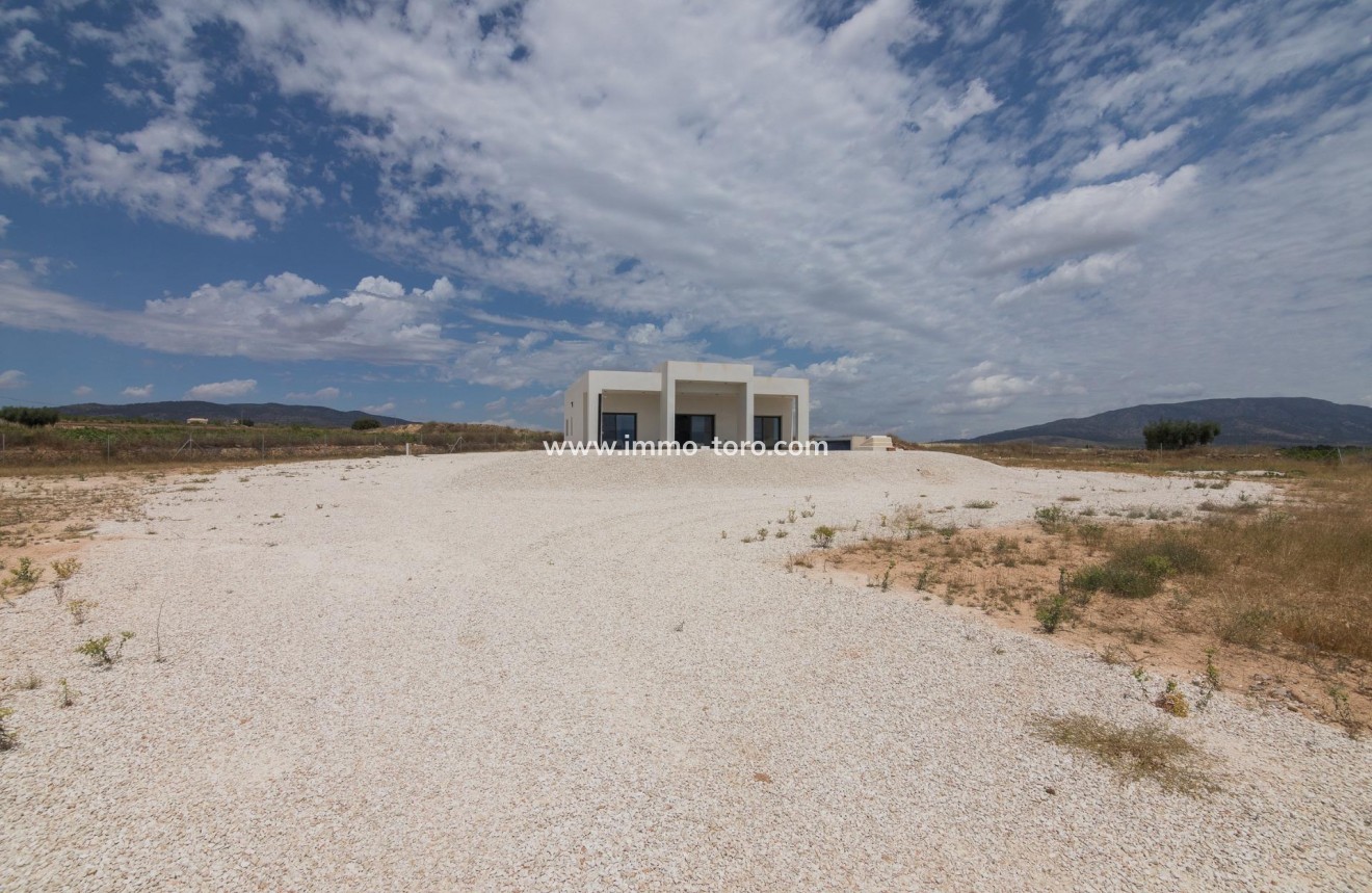 New Build - Villa - Pinoso - Campo