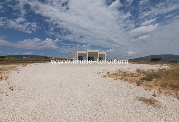 New Build - Villa - Pinoso - Campo