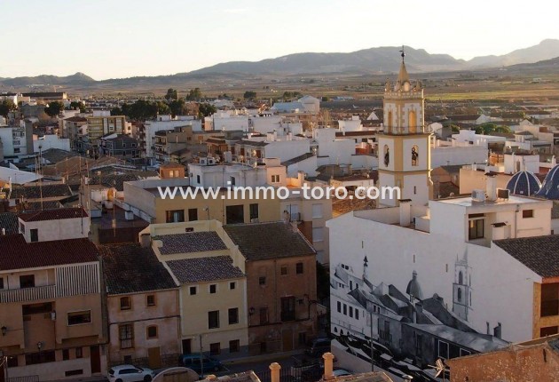 New Build - Villa - Pinoso - Campo