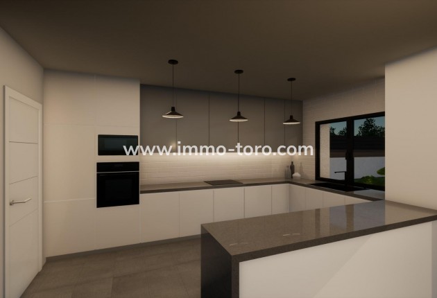 New Build - Villa - Pinoso - Campo