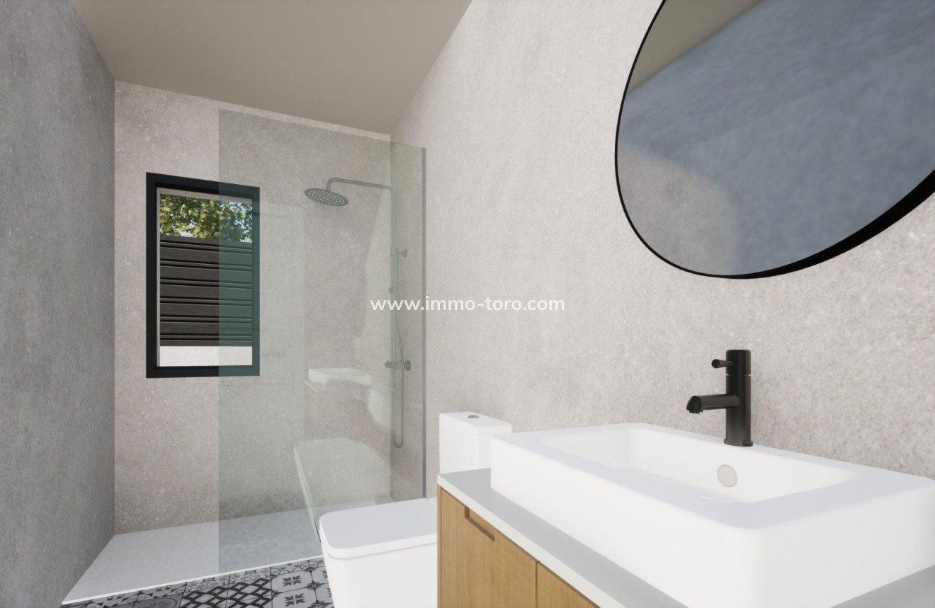 New Build - Villa - Pinoso - Campo