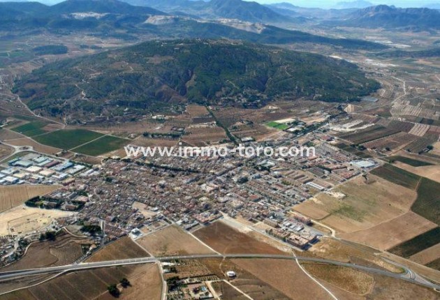 New Build - Villa - Pinoso - Campo