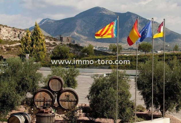 New Build - Villa - Pinoso - Campo