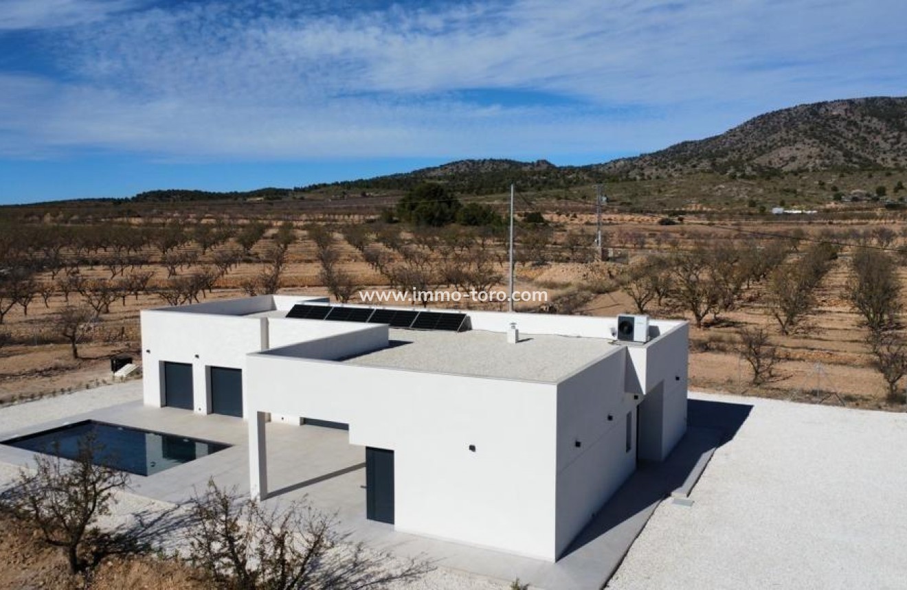 New Build - Villa - Pinoso - Campo