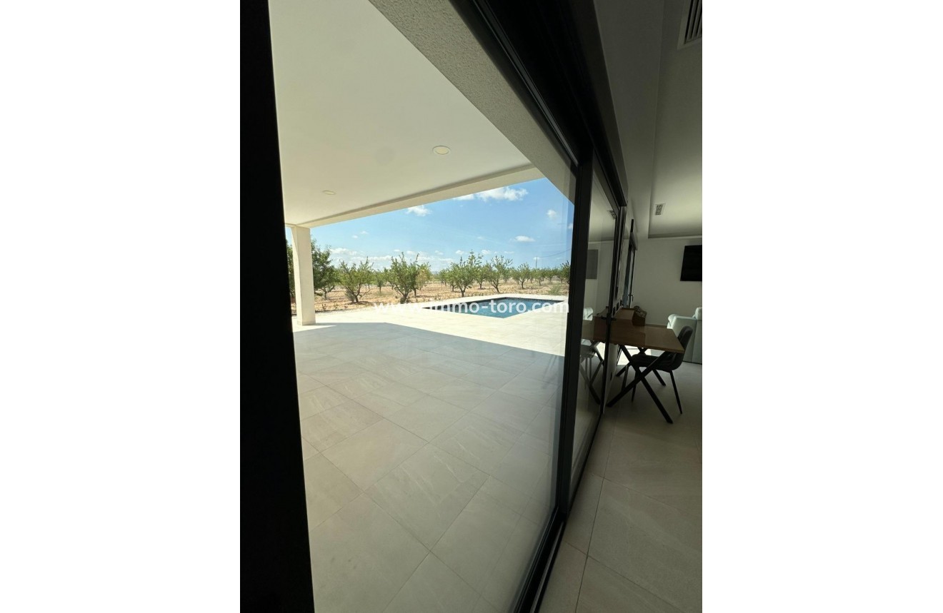 New Build - Villa - Pinoso - Campo