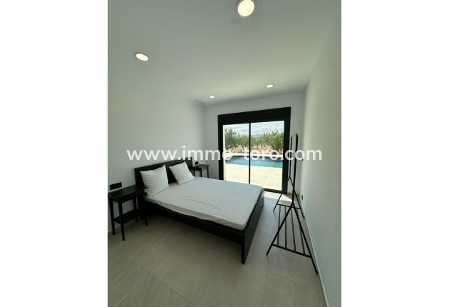 New Build - Villa - Pinoso - Campo