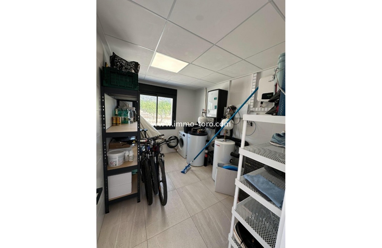 New Build - Villa - Pinoso - Campo