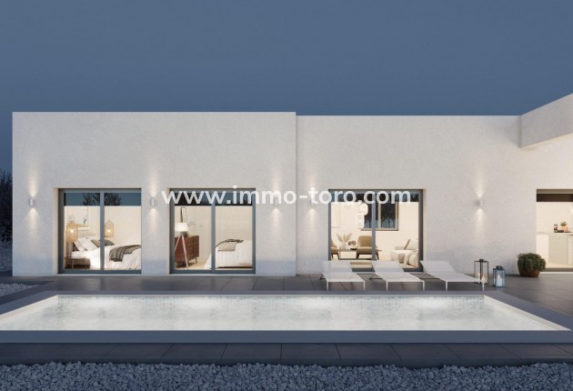 New Build - Villa - Pinoso - Campo