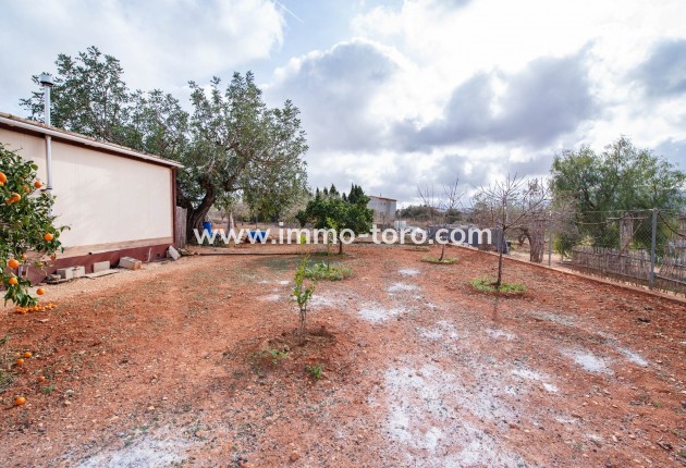Venta - Villa / Chalet - Benissa - Partida Canor