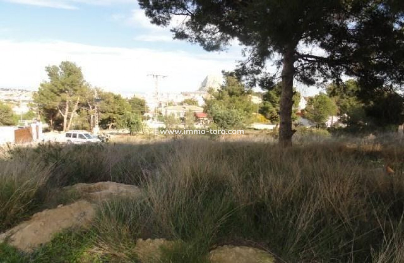 Resale - Plot - Calpe - La Canuta