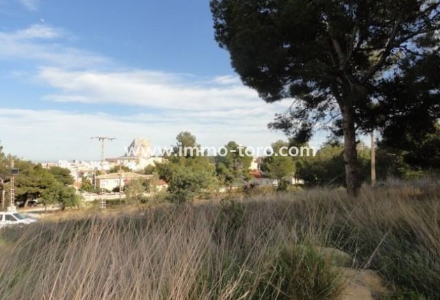 Resale - Plot - Calpe - La Canuta