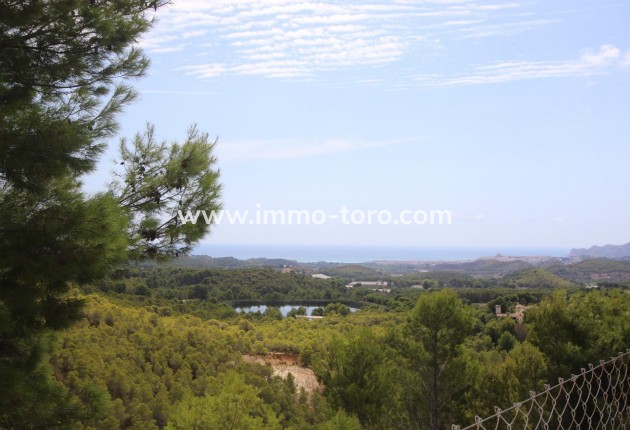 Resale - Villa - Callosa d´en Sarrià
