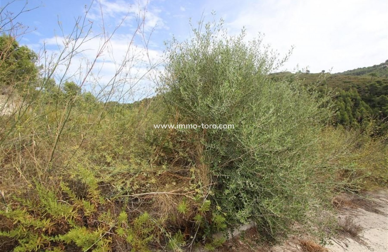 Revente - Plot - Calpe - Empedrola