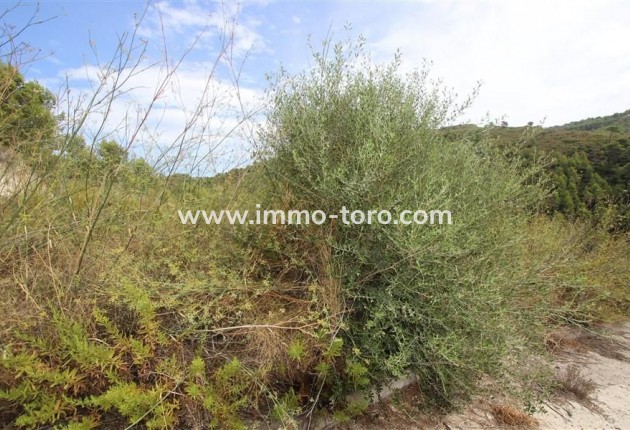 Revente - Plot - Calpe - Empedrola