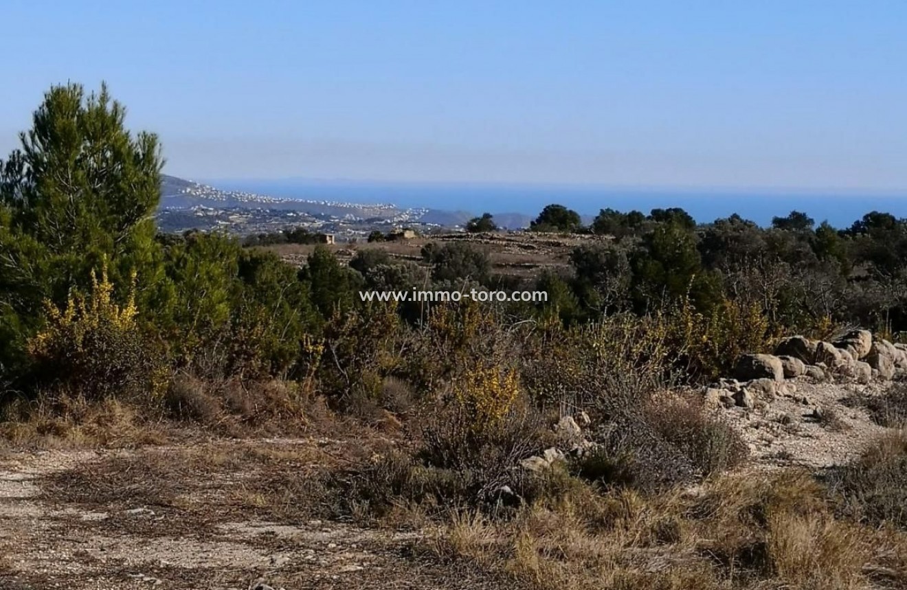 Venta - Plot - Jalon - Xalo - Jalon