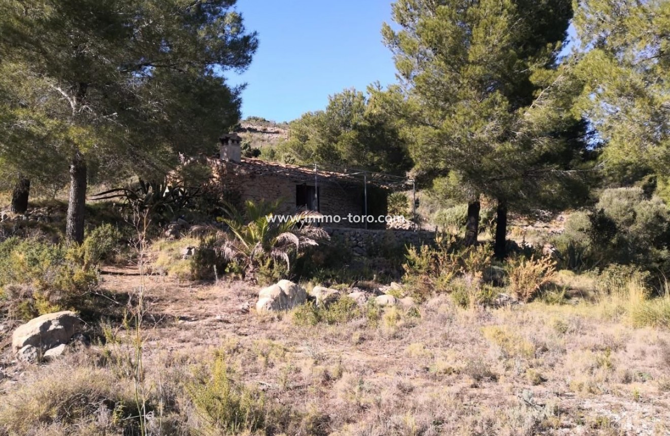 Venta - Plot - Jalon - Xalo - Jalon