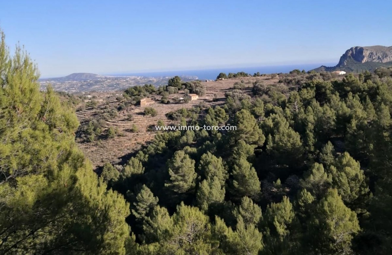 Venta - Plot - Jalon - Xalo - Jalon