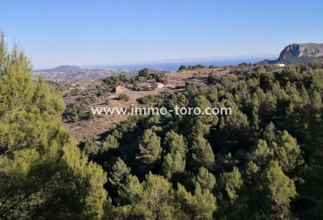 Venta - Plot - Jalon - Xalo - Jalon