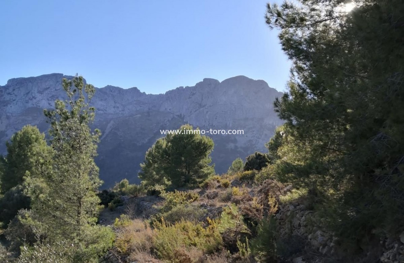 Venta - Plot - Jalon - Xalo - Jalon