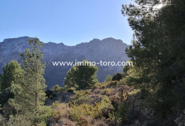 Venta - Plot - Jalon - Xalo - Jalon