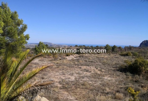 Venta - Plot - Jalon - Xalo - Jalon