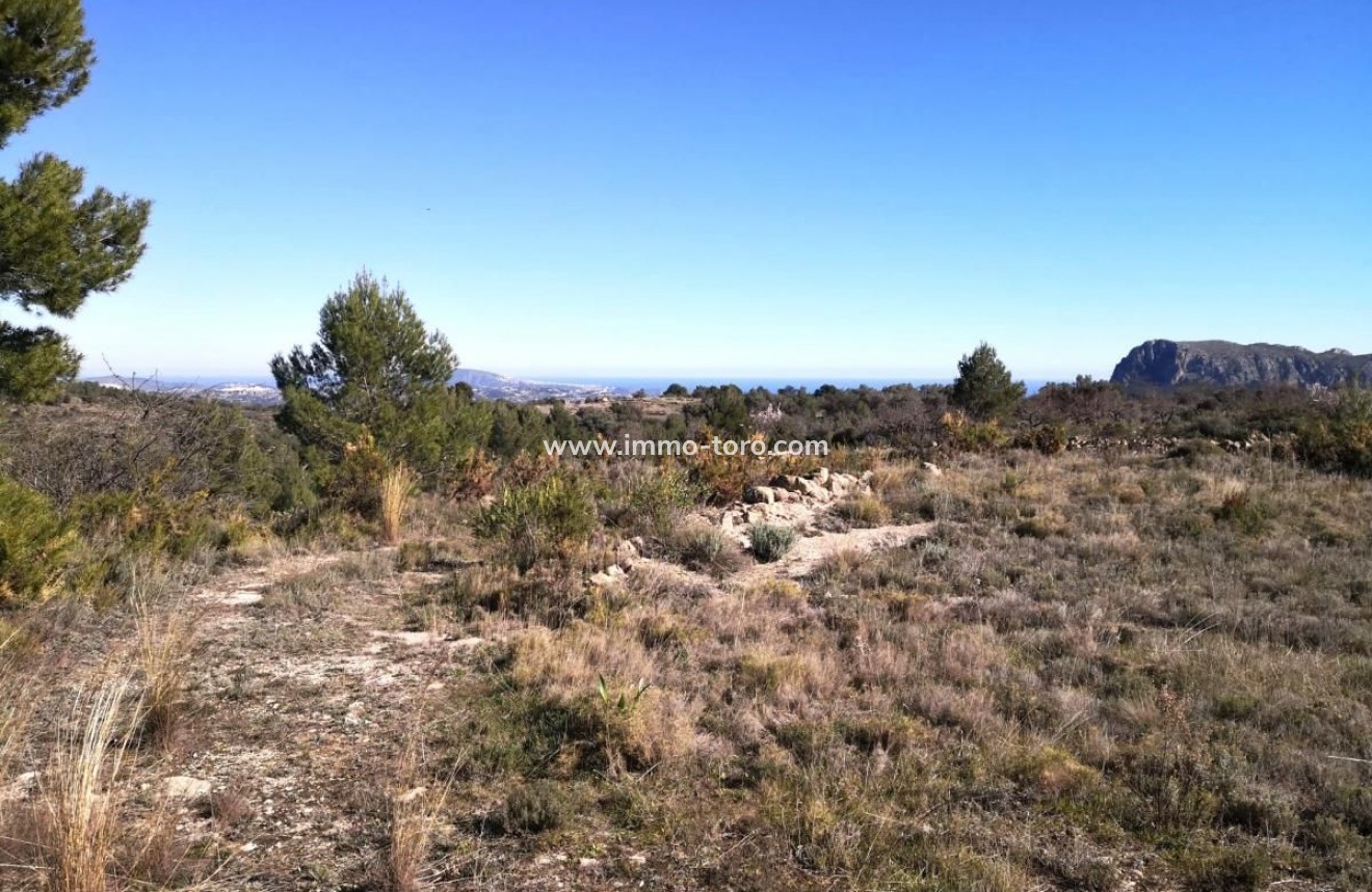 Venta - Plot - Jalon - Xalo - Jalon