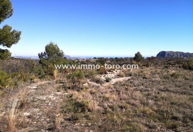 Venta - Plot - Jalon - Xalo - Jalon