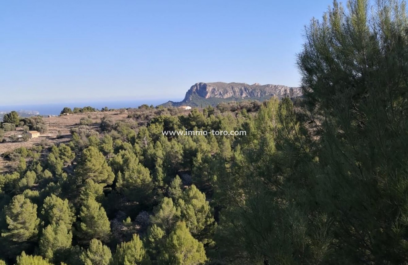 Venta - Plot - Jalon - Xalo - Jalon