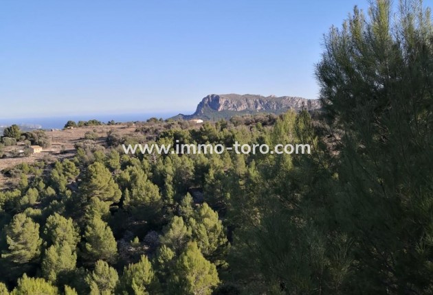 Venta - Plot - Jalon - Xalo - Jalon