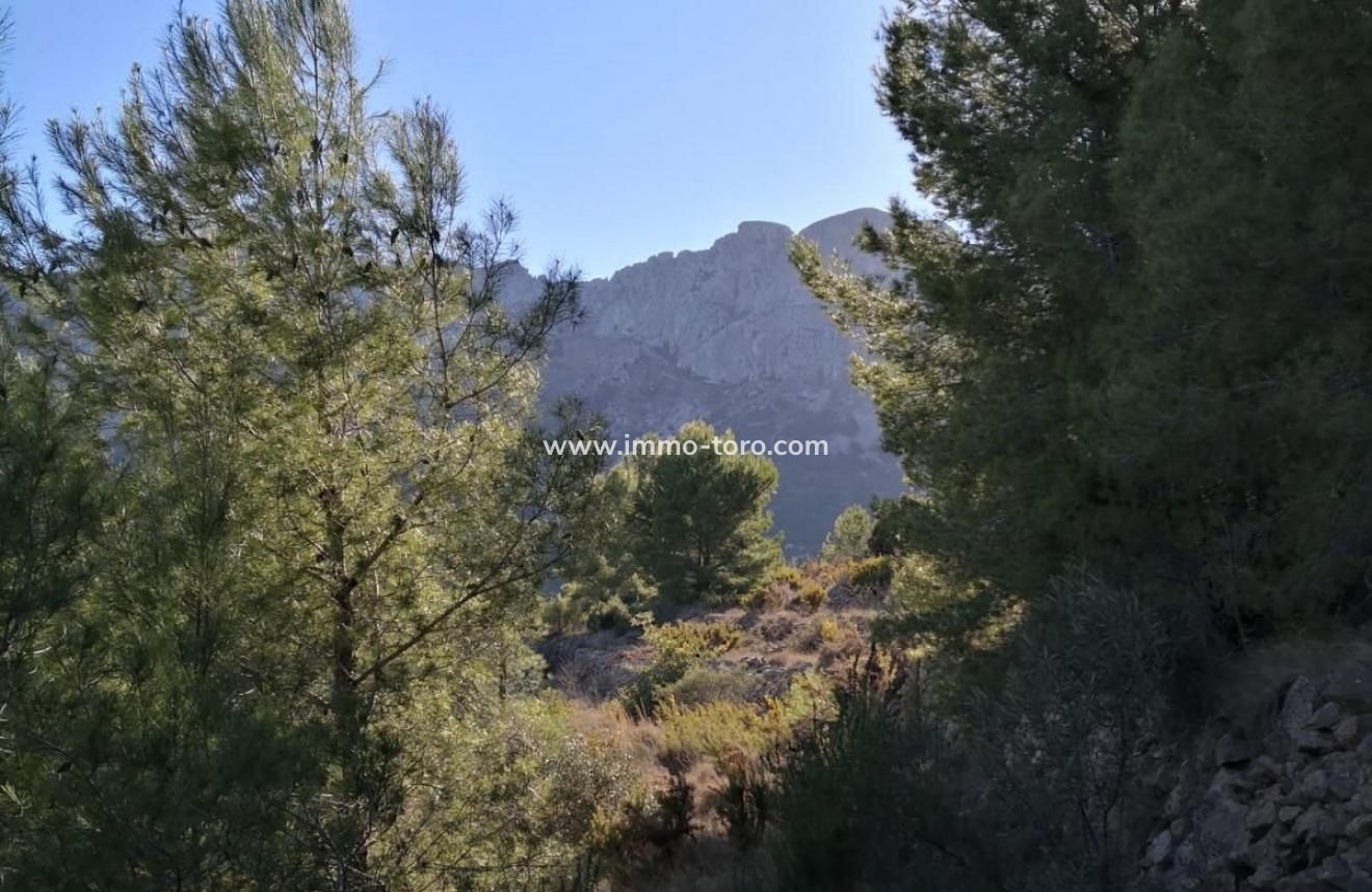 Venta - Plot - Jalon - Xalo - Jalon