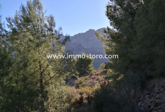 Venta - Plot - Jalon - Xalo - Jalon