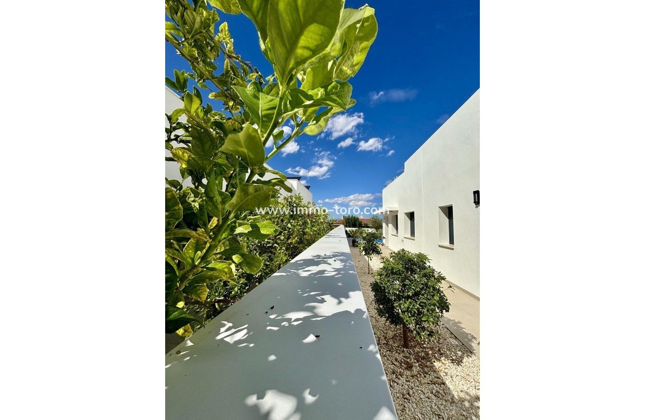 Nouvelle construction - Villa - Benijófar