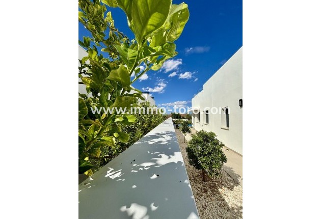 Nouvelle construction - Villa - Benijófar