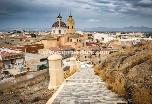 Nouvelle construction - Maison jumelée - Cox