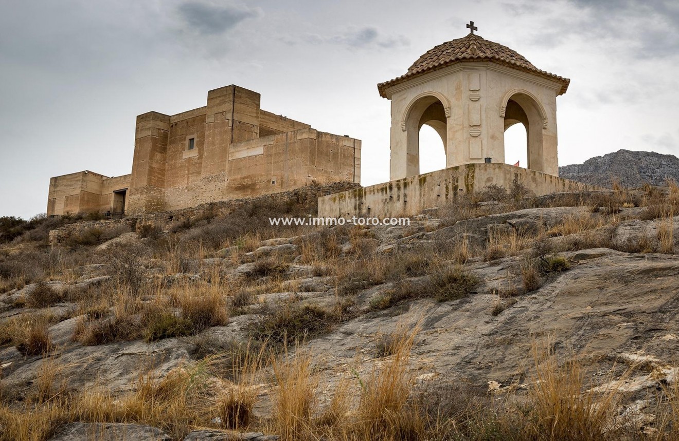 Nouvelle construction - Maison jumelée - Cox