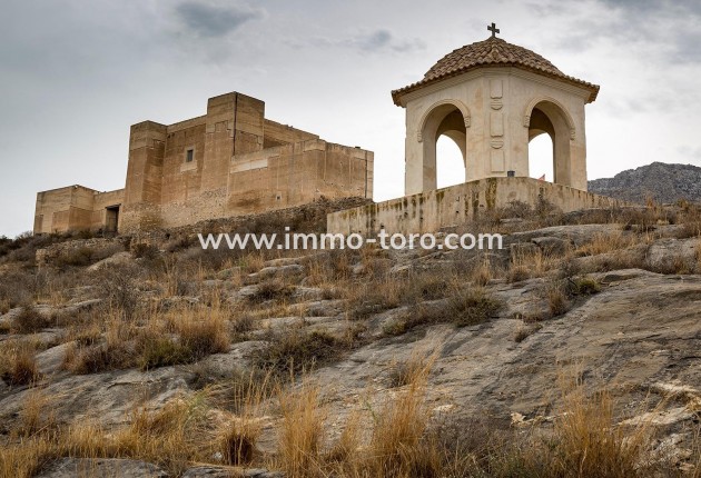 Nouvelle construction - Maison jumelée - Cox