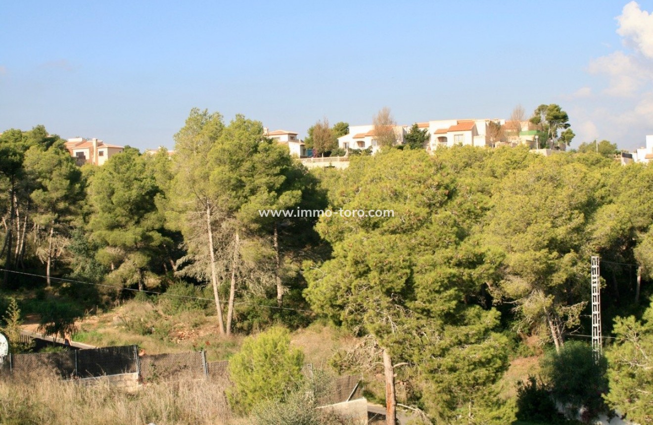 Venta - Plot - Javea - Costa Nova Jávea