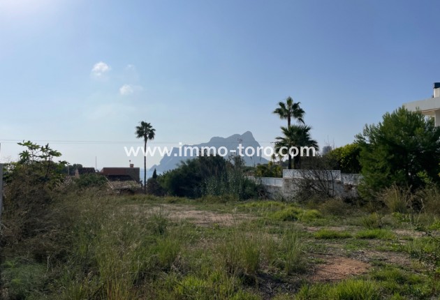 Venta - Plot - Calpe - Bassetes Calpe
