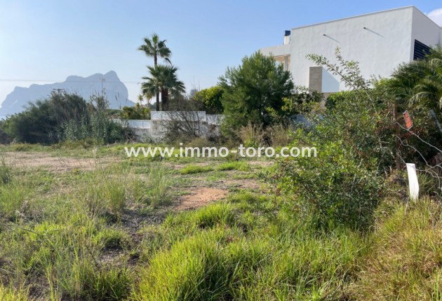 Venta - Plot - Calpe - Bassetes Calpe