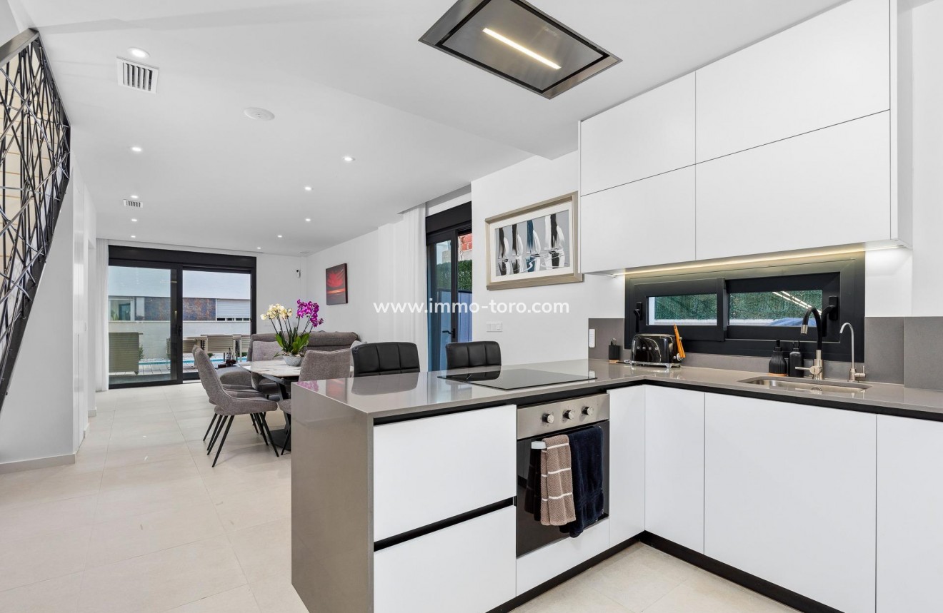 New Build - Villa - Guardamar - Els secans