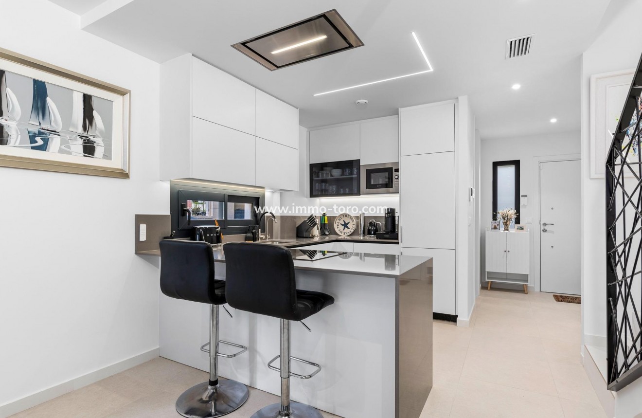 New Build - Villa - Guardamar - Els secans