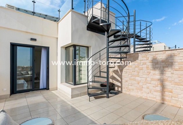 New Build - Villa - Guardamar - Els secans