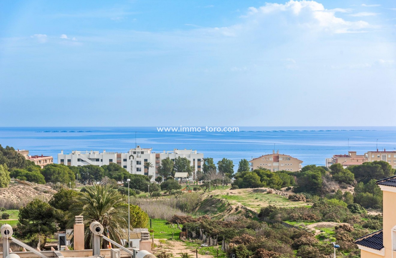 New Build - Villa - Guardamar - Els secans