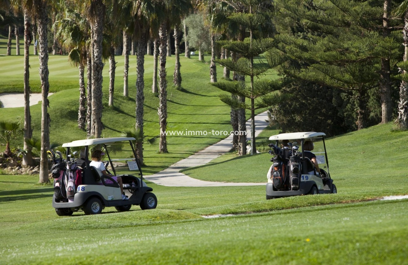 New Build - Apartment - Orihuela - Lomas De Campoamor-las Ramblas