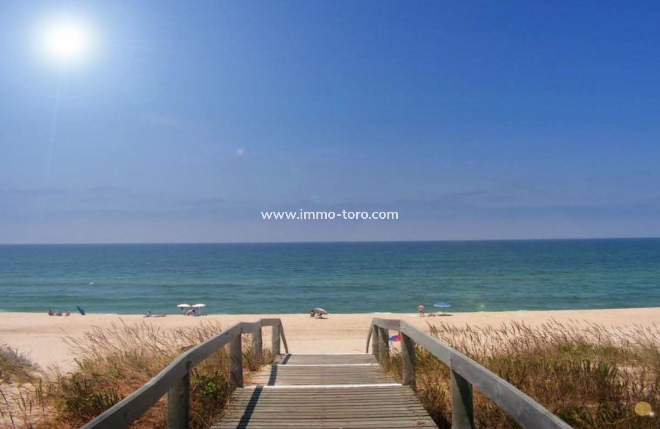 Nueva construcción  - Villa / Chalet - San Fulgencio - El Oasis