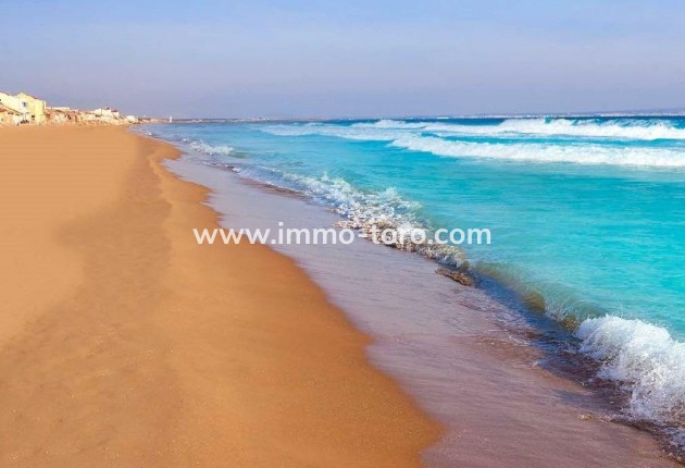 Nueva construcción  - Villa / Chalet - San Fulgencio - El Oasis