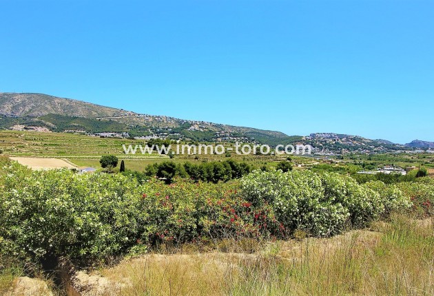 New Build - Villa - Teulada - Campo