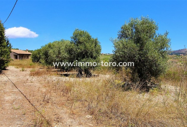 New Build - Villa - Teulada - Campo