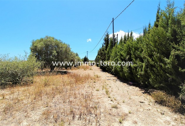 New Build - Villa - Teulada - Campo