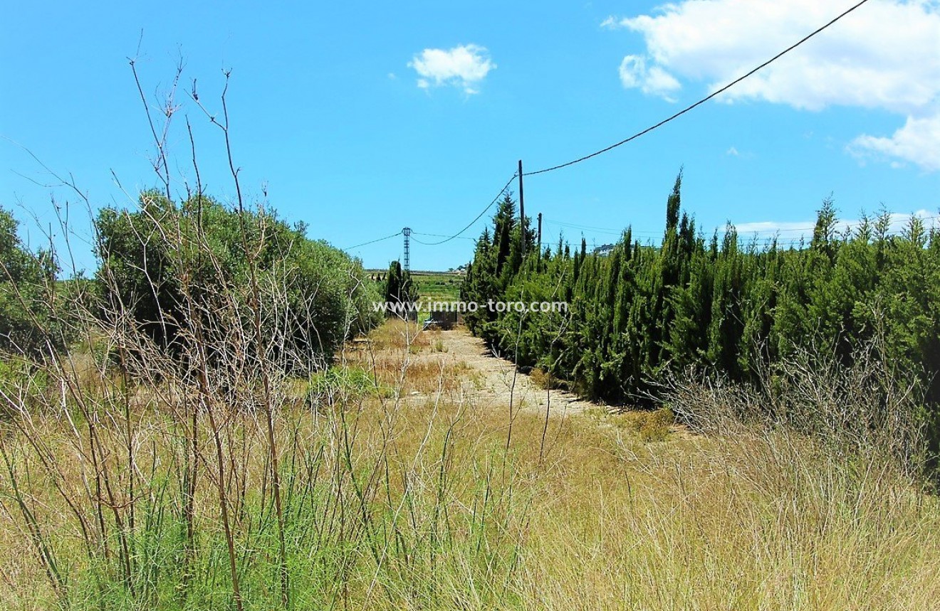 New Build - Villa - Teulada - Campo